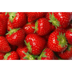 Fresas de temporada. Producto marca España.