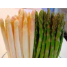 Espárragos