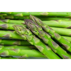 Espárragos