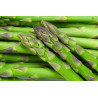 Espárragos