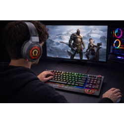 Epic Mechanical Gaming Keyboard RGB |  Ragnarok Keys