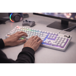WhiteNova K100 | Standard & Pro Gaming Keyboard