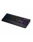 TECLADOS