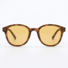 Casual Day Glasses
