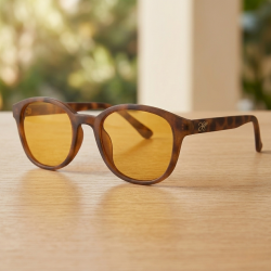 Casual Day Glasses