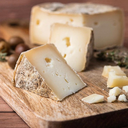 Sensory Aged Cheese | Taste and Texture Experience