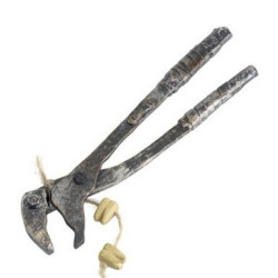 Extractor molar