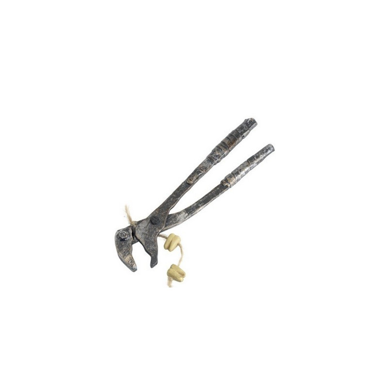 Extractor molar
