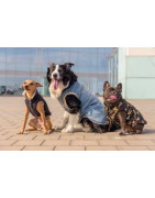 ROPA DE PERROS