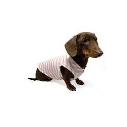 Camiseta Personalizada para Perros | DogStyle