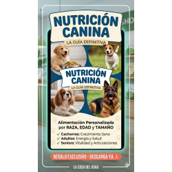 Master en nutrición canina