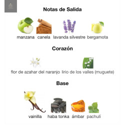 9 PM AFNAN perfume hombre