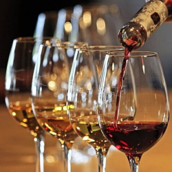 Wine Testing Barcelona