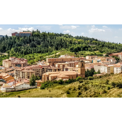Visita Guiada Soria