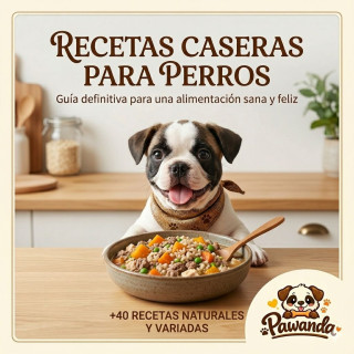 Recetas Caseras