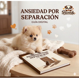 Ansiedad por Separación