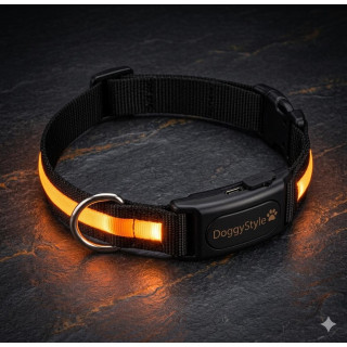 Collar LED