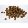 Feed for puppy + Trick guide