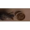 Senior Cat Food