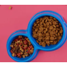 Pienso para Gato Adulto