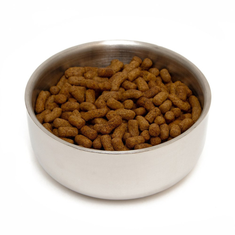 Customizable Pet Bowl Customizable Pet Bowl