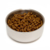 Customizable Pet Bowl
