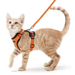 Arnés de gato