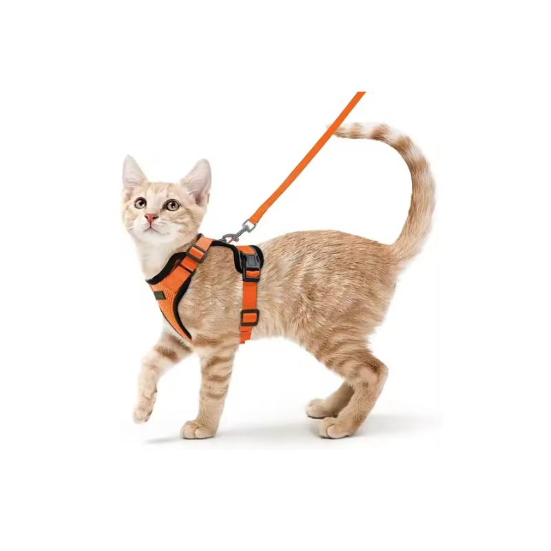 Cat Harness Cat Harness