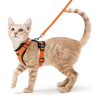 Arnés de gato