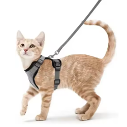 Arnés de gato