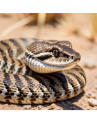 Serpiente