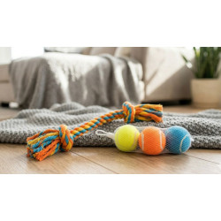 Set de Juego Esencial: Cuerda de Tracción y Pelotas de Tenis Reforzadas