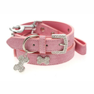 Collar para perro