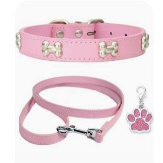 Savings bundle: collar + retractable leash