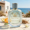 Costa Vetiver
