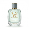 Costa Vetiver
