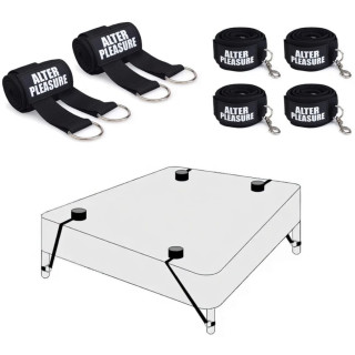 Under-the-bed restraint system.