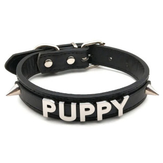 Collar Pet Play