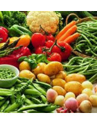 Verduras de temporada