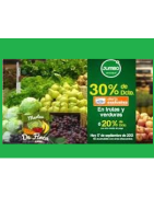 Verduras y Hortalizas