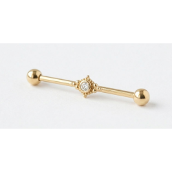 Industrial-Piercing mit Strasssteinen – Gold- und Silberstab