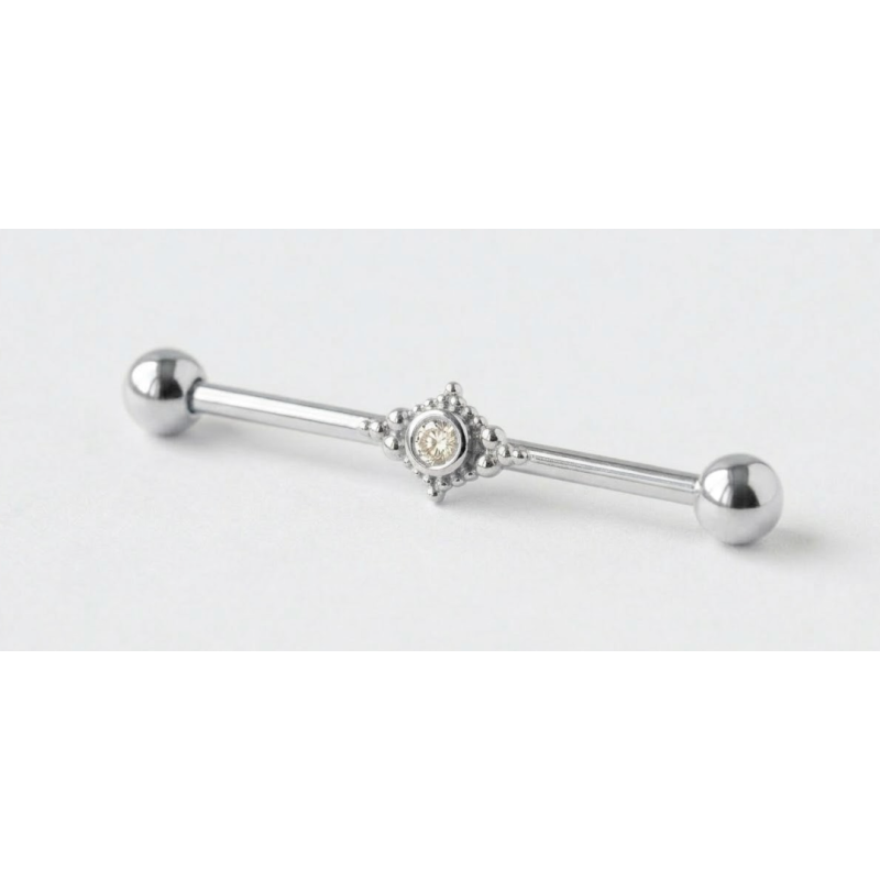 Industrial-Piercing mit Strasssteinen – Gold- und Silberstab