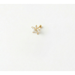 Ohrpiercing-Set