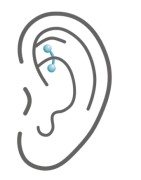Rook