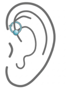 Helix anteriore