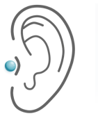 Tragus