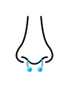 Septum
