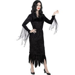 familia addams