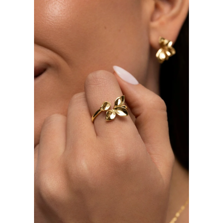 Pack de pendientes y anillo