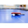 Pelotas de tenis de mesa